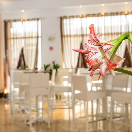 Smeraldo Hotel Lido di Jesolo